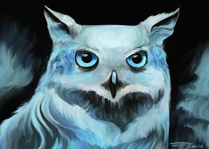Winter Owl