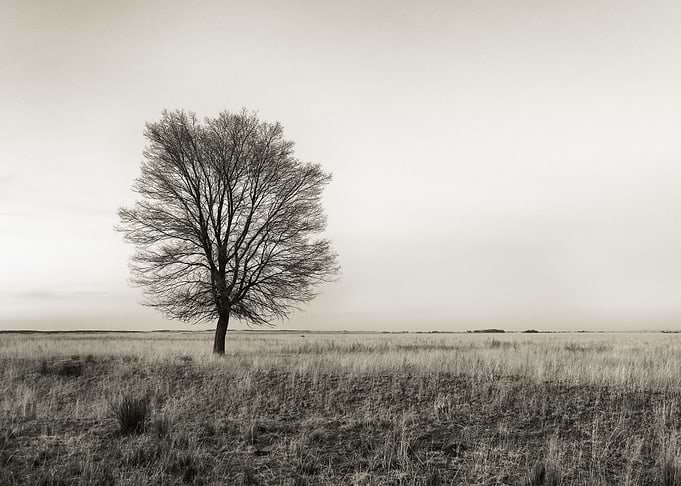 Waiting for moonrise; was shot on an evening that I wa ...