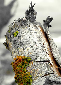 Title: 'flotsam and jetsam no.4'. Conceptual Photograph ...