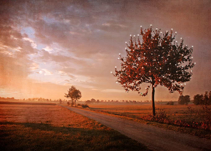SONG OF THE OCTOBERBIRD