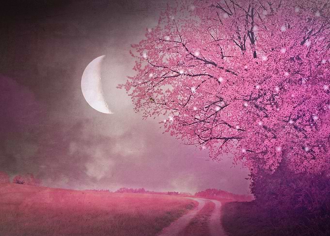 SONG OF THE SPRINGBIRD