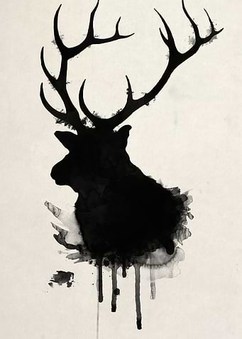 Elk
