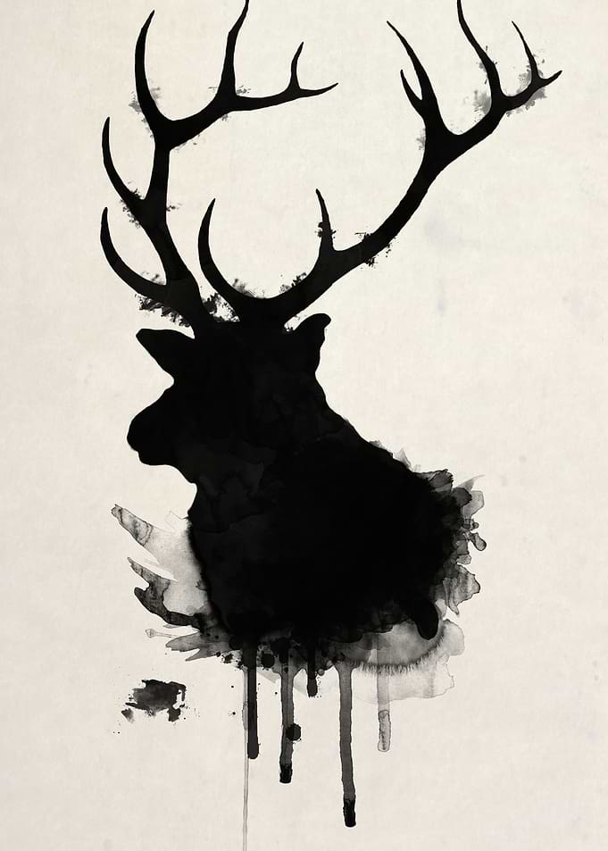 Elk