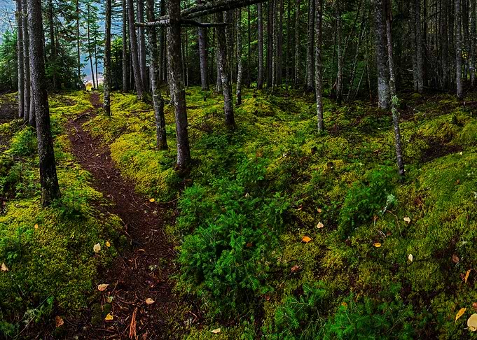 little trip in north quebec