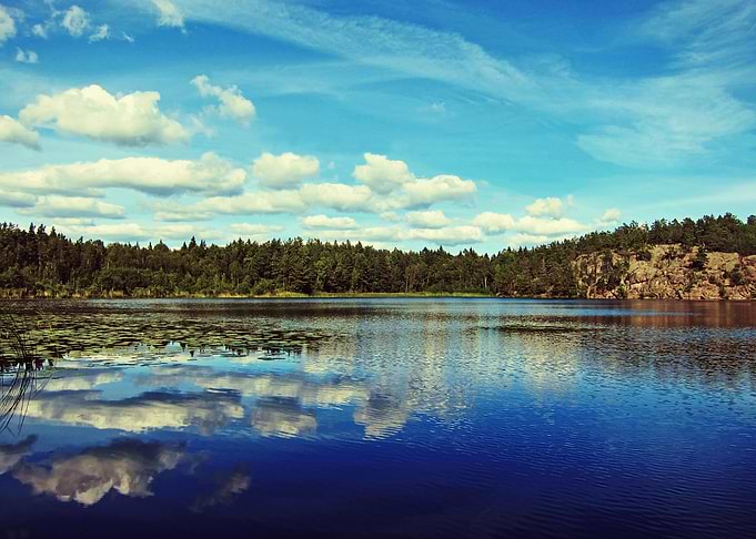 Reflection Of Nature