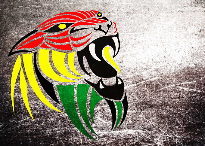 Cool Lion Reggae Colors Grunge Texture - I LOVE Reggae! ...