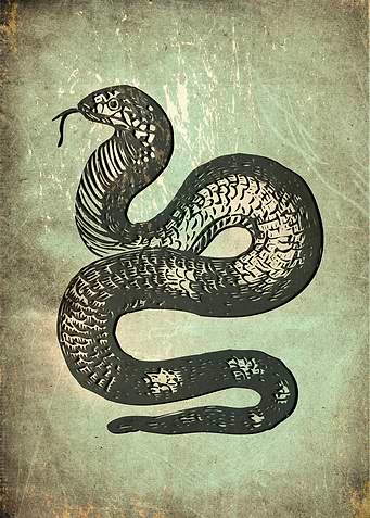 snake with vintage