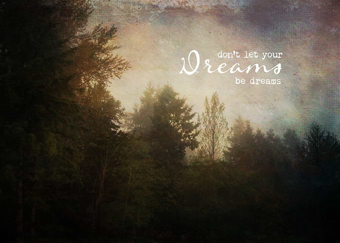 trees in the fog with typography