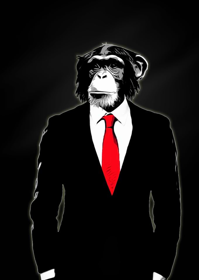 Domesticated Monkey
