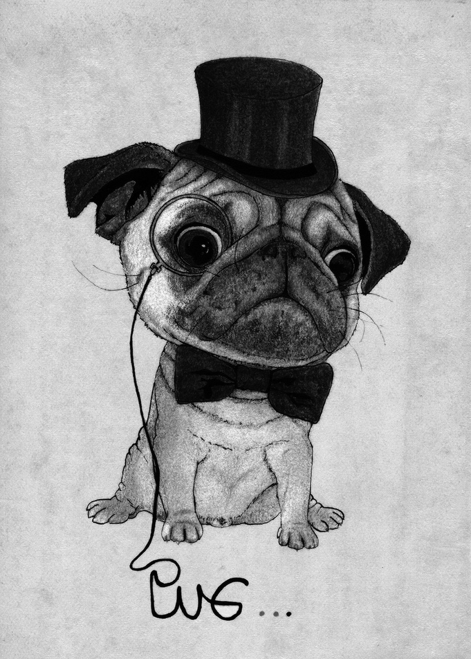 Pug; Gentle pug (black and white version)