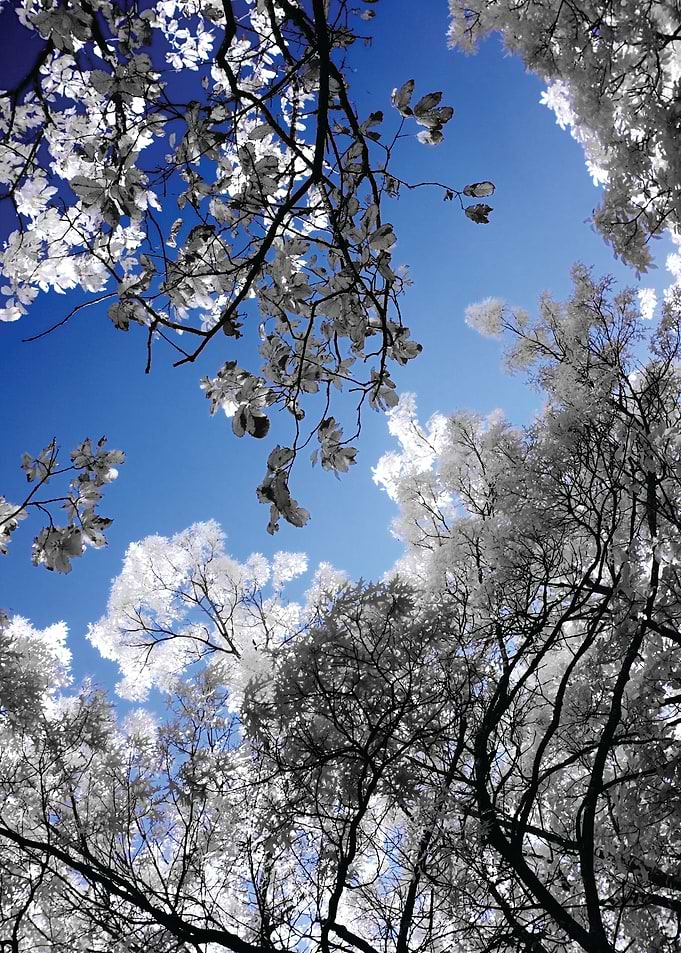 This image was taken around Birmingham, AL. The image i ...