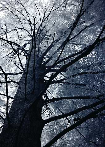 This image was taken with an infrared camera, this one ...