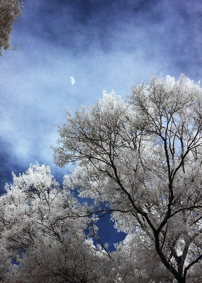 This image was taken around the Birmingham, AL area. Us ...