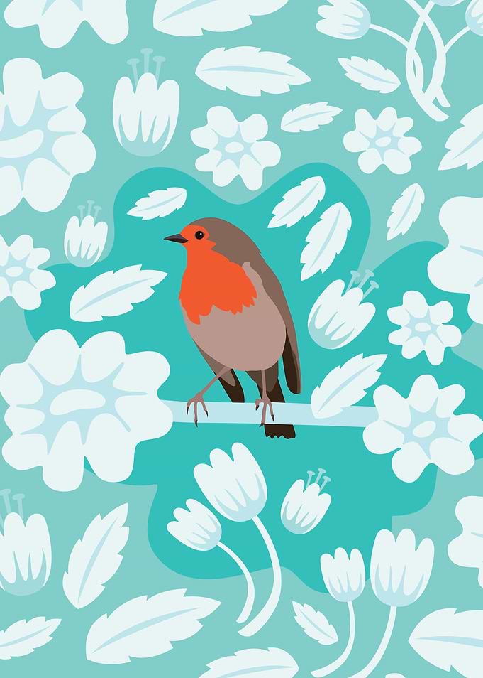 Robin