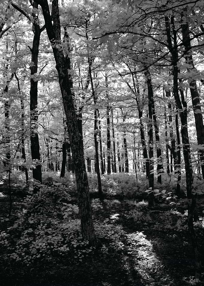 This was taken in the Birmingham area with an Infrared ...