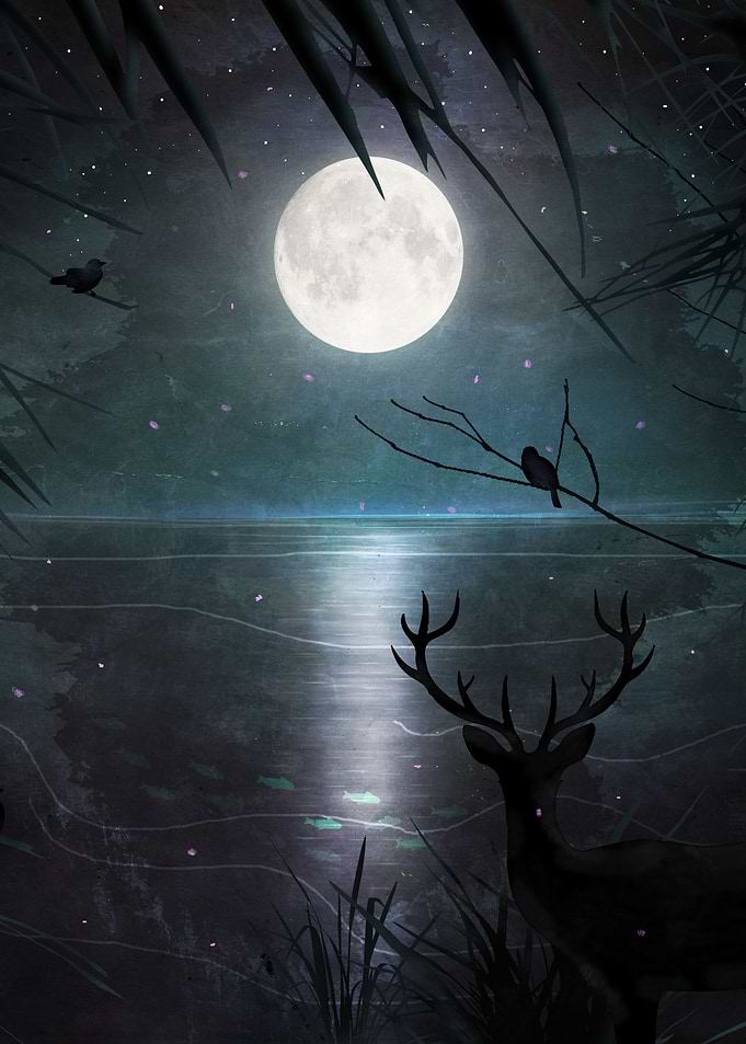 When the moon 2