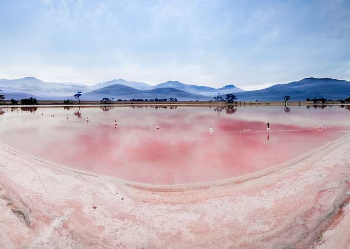 Pink Lake at Tambellup