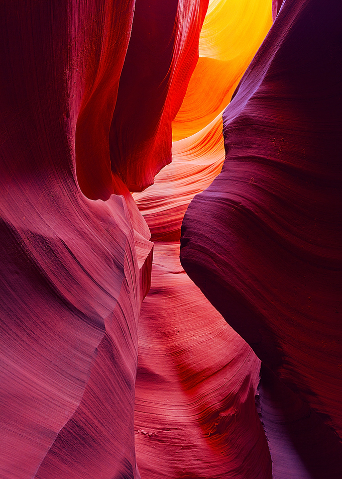 Desert Symphony