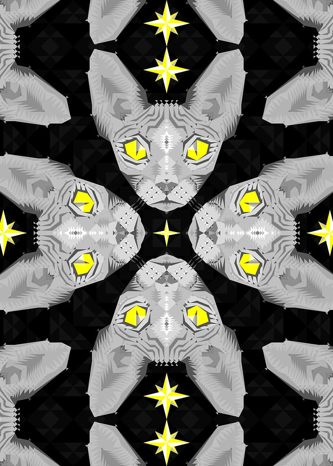 Black Sphynx Cat Pattern