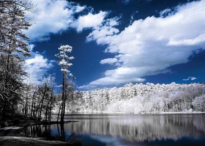 This was taken with an infrared camera at Paul M. Grist ...