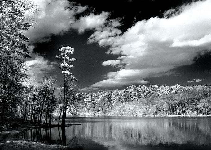 This was taken with an infrared on Paul M Grist lake in ...