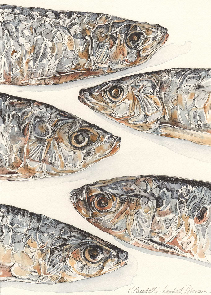 Sardines