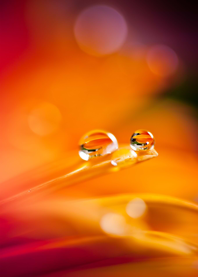 Duality