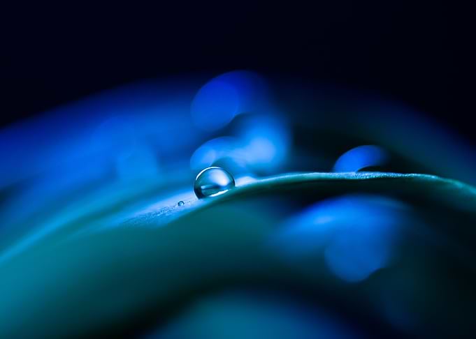 Moonlight Sonata