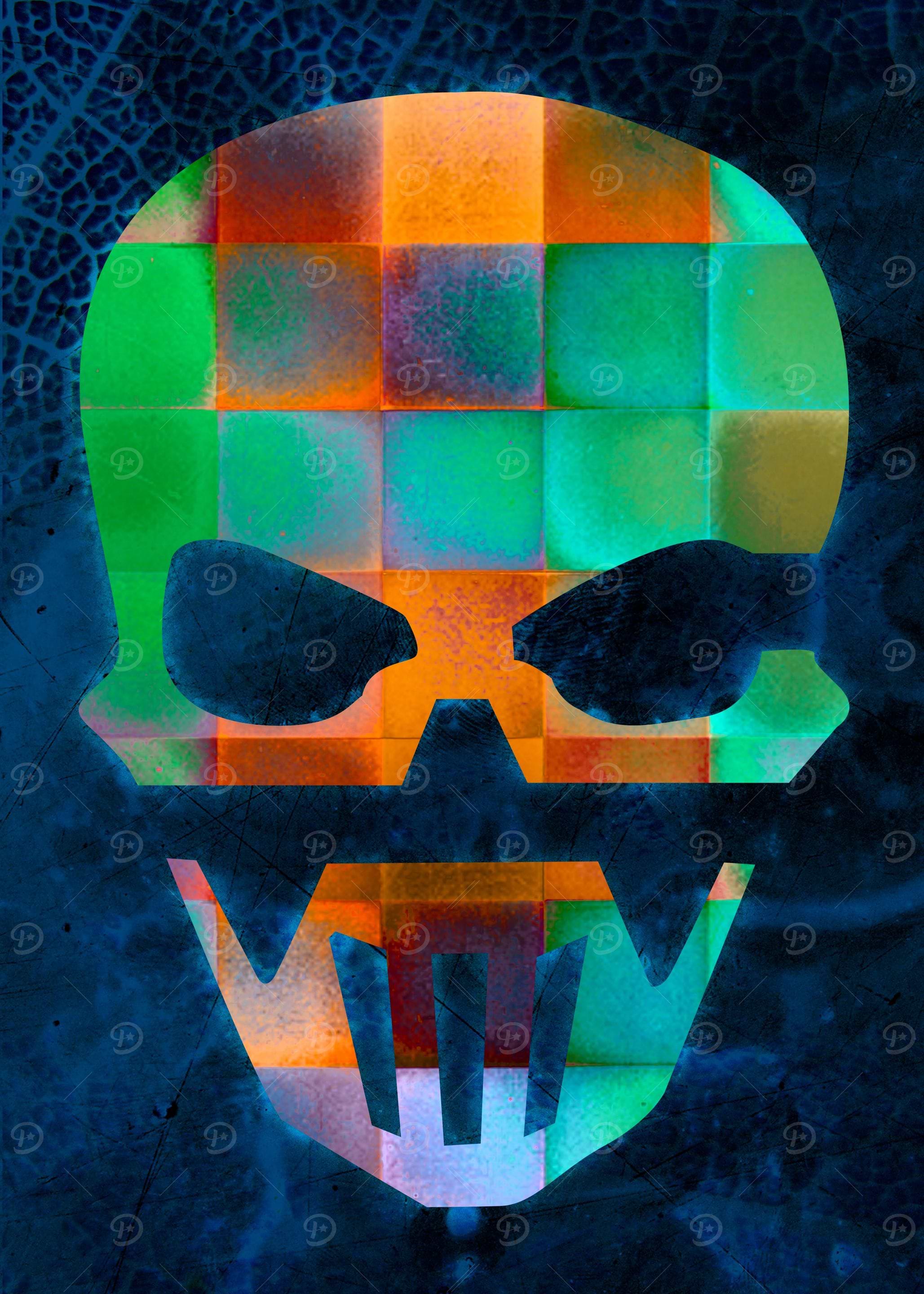 CHECKED DESIGN II - SKULL