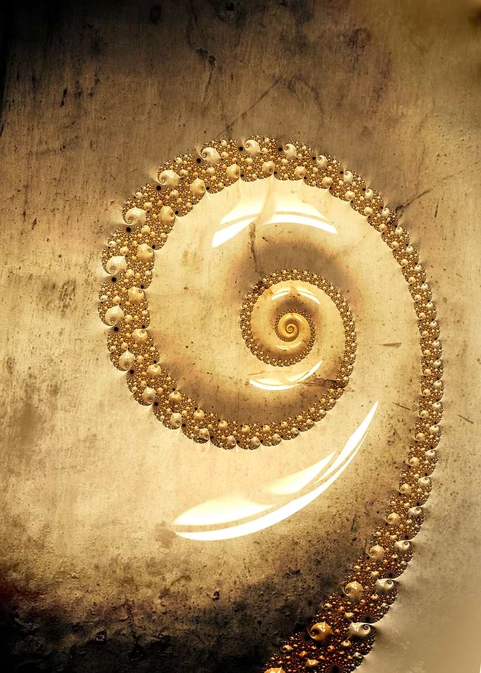 Fractal Shell and Texture