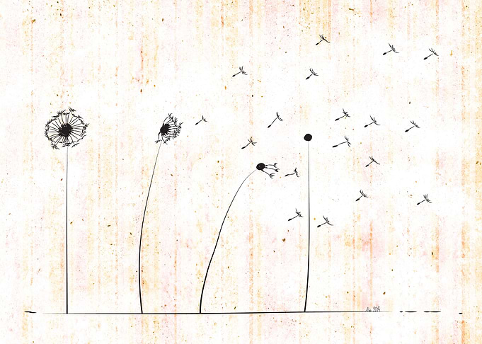 Dandelion