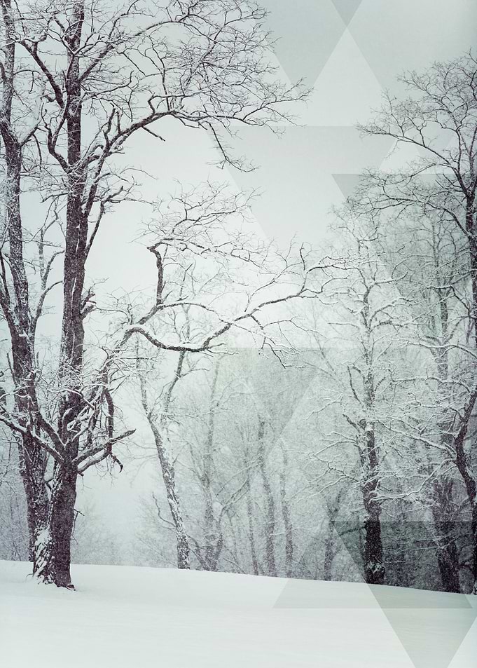 Winter Shapes 1