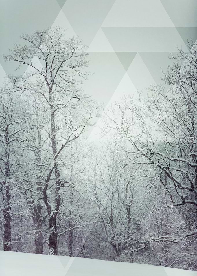Winter Shapes 2