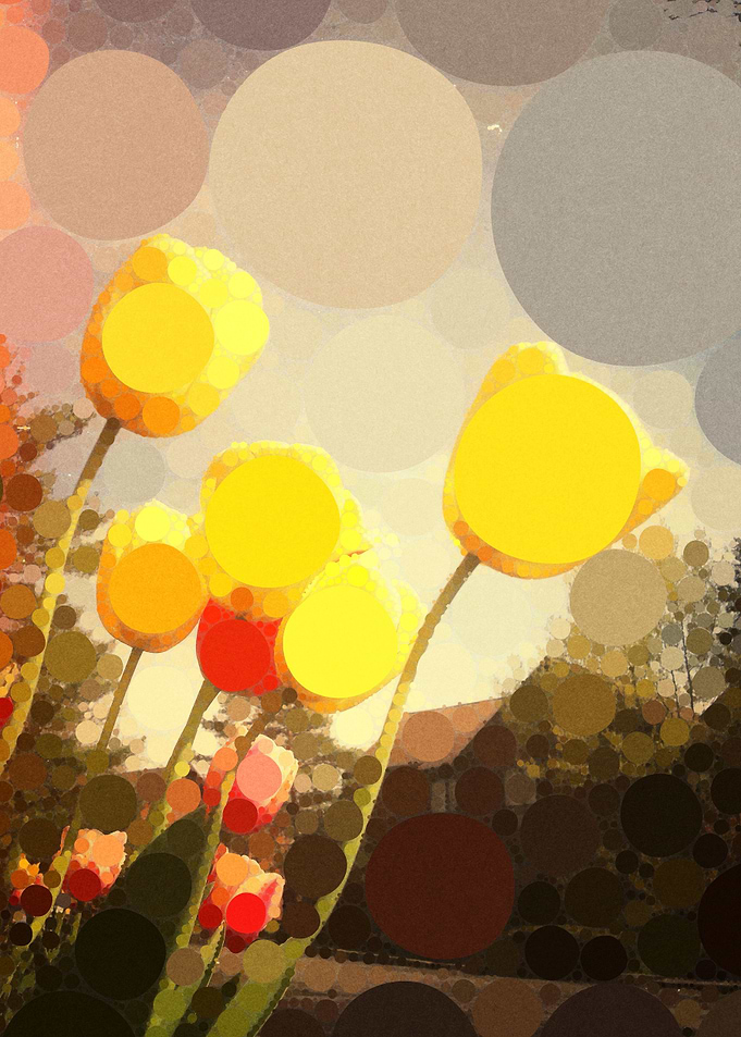 Yellow Tulip Abstract