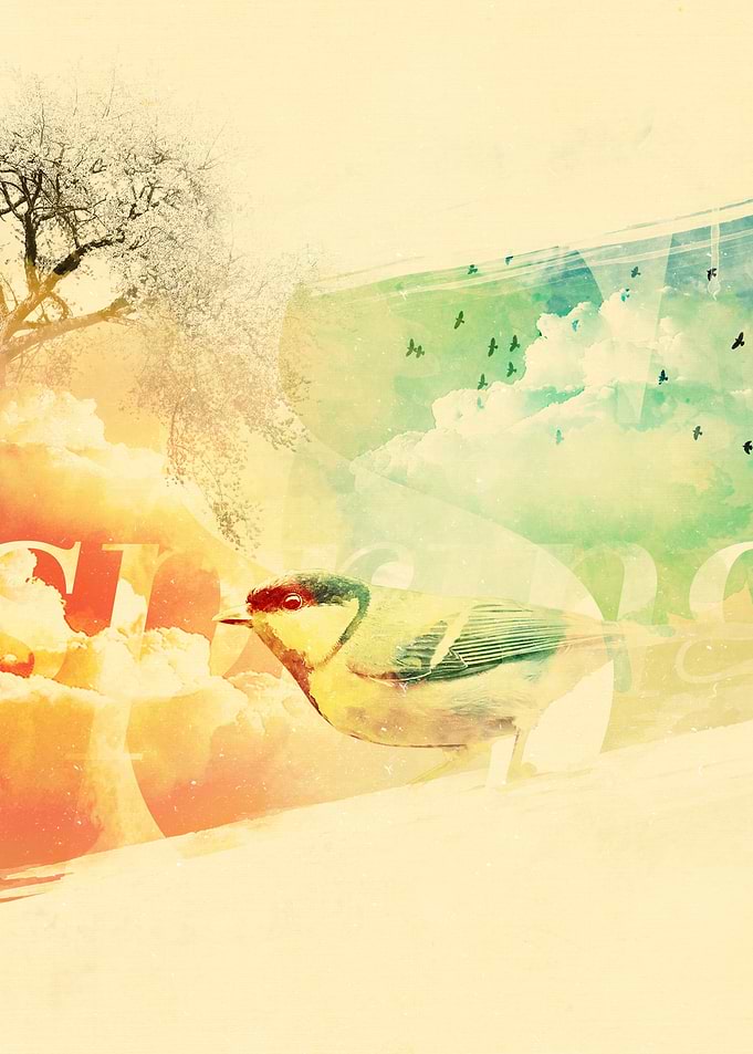 2014 spring
