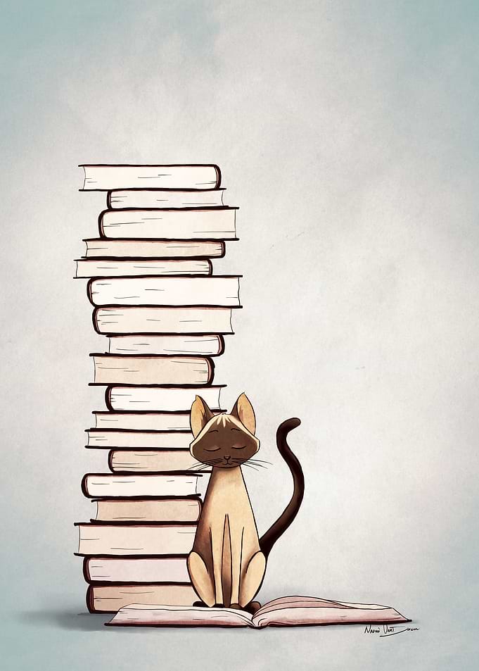 The Reader 2