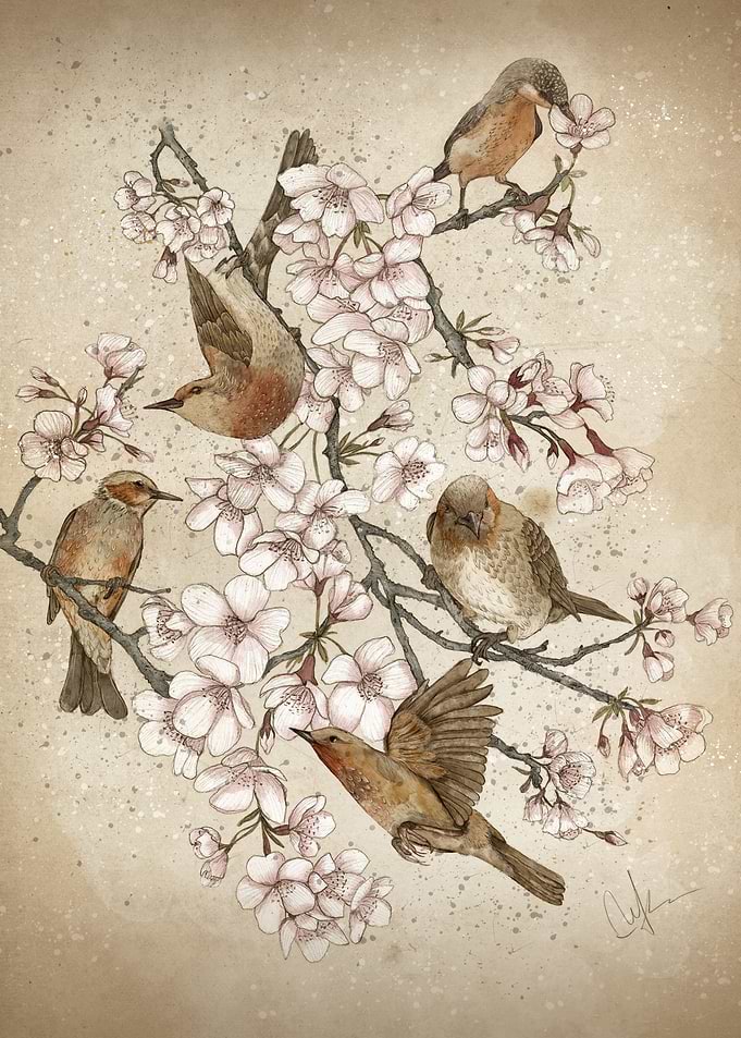 Too Many Birds