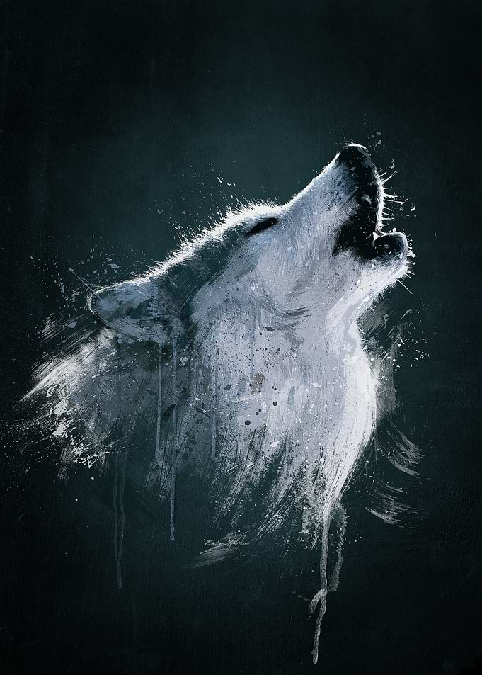 Alaskan Timber Wolf Digital oil painting. (Wild Series) ...