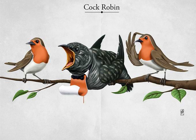 Cock Robin