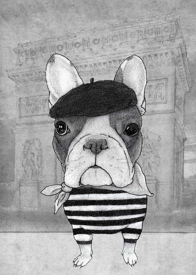 Frenc Bulldog in front of Arc du Triumph, Paris. (black ...