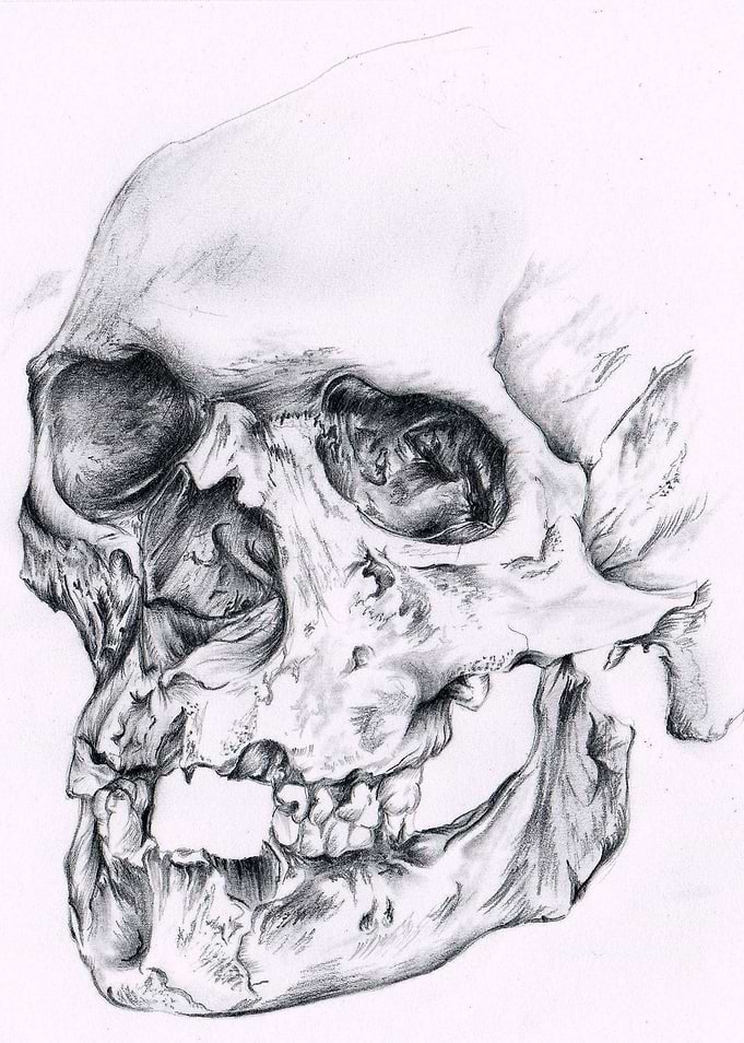 Memento Mori