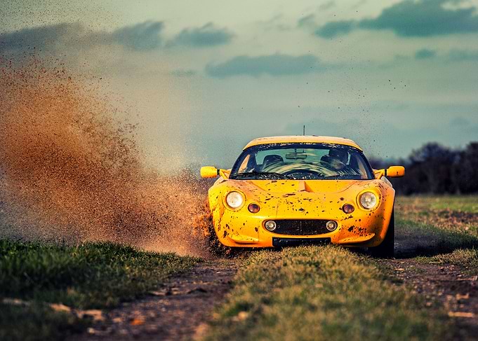 Lotusplay
