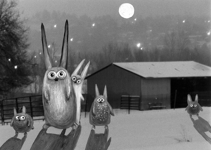 Night Scene