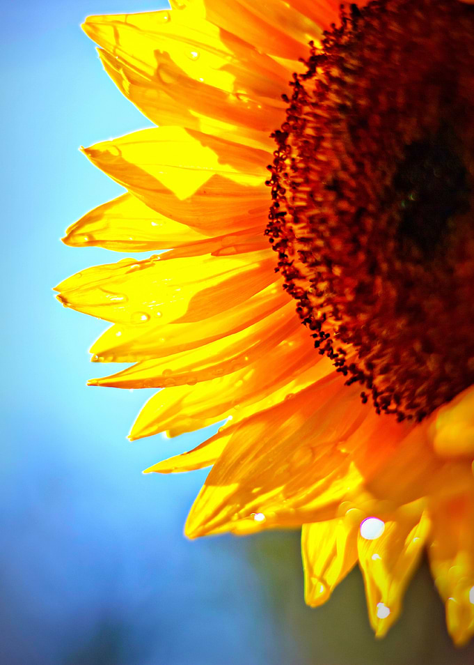 Arise and Shine