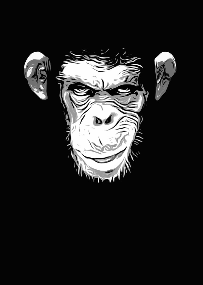 Evil Monkey