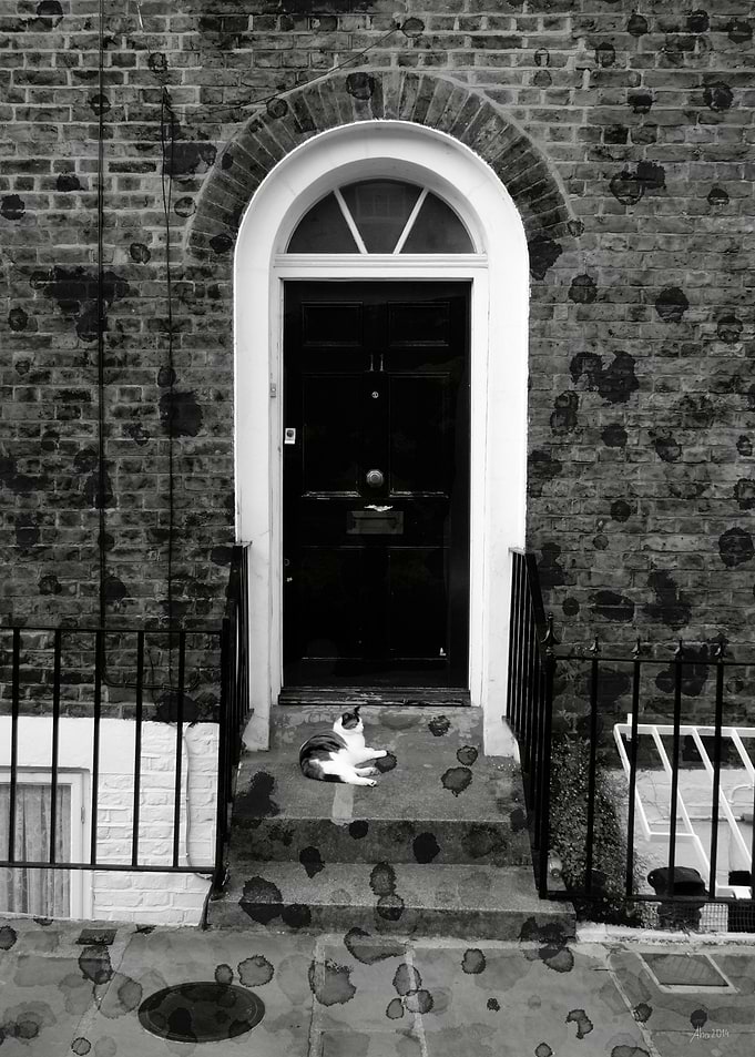 Doorstep