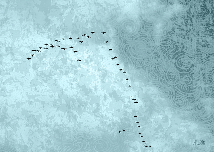 Birds in the sky