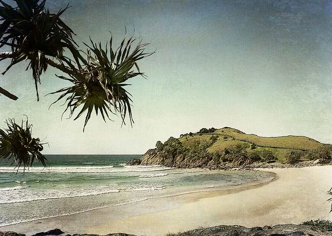 The Cove