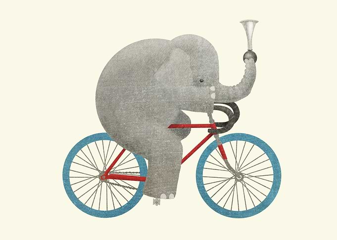 Ride