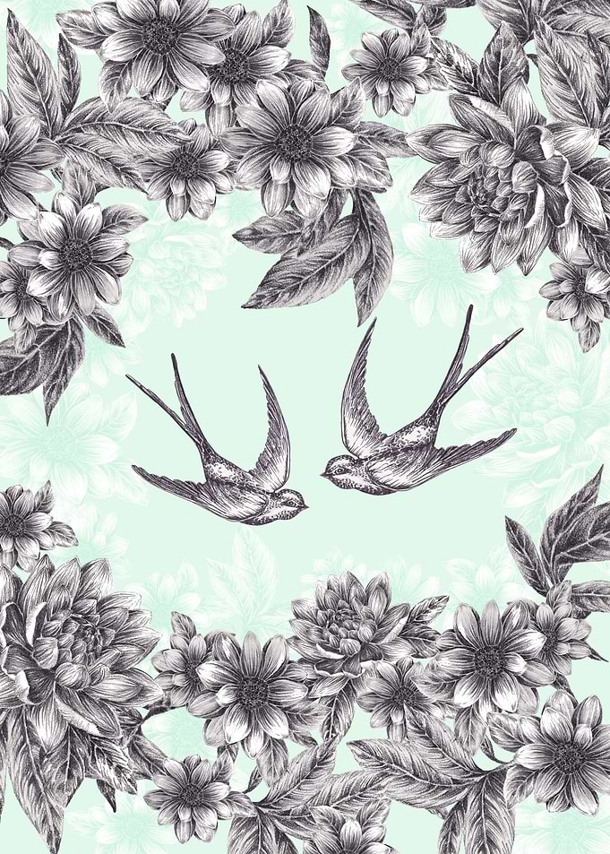 Swallows
